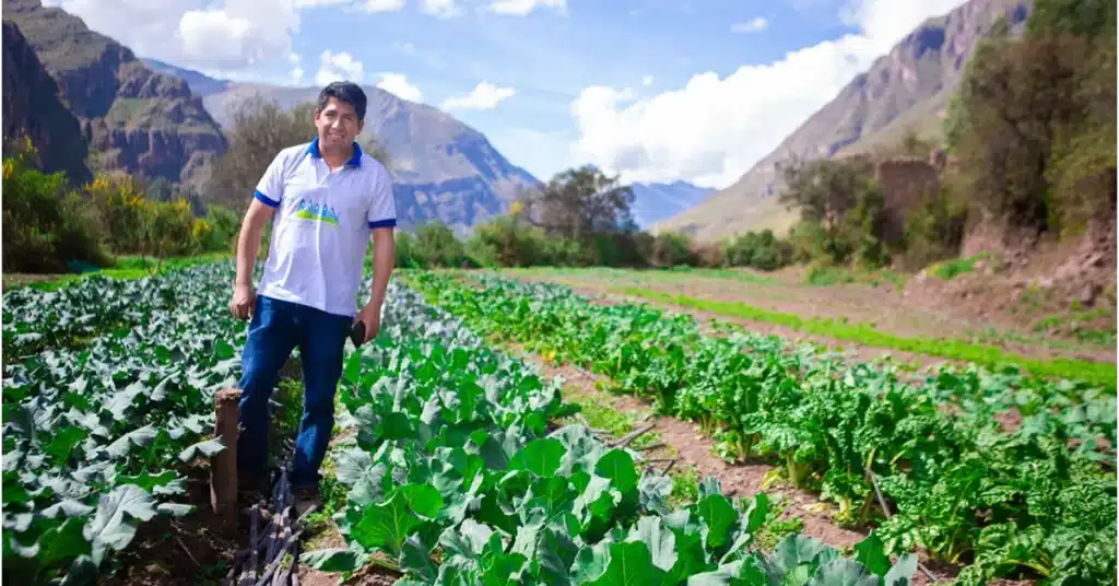 a man standing in a plantation ground in Peru