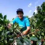 Peru agricultural farmer