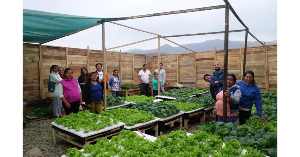 group of people showing a Peru farm
