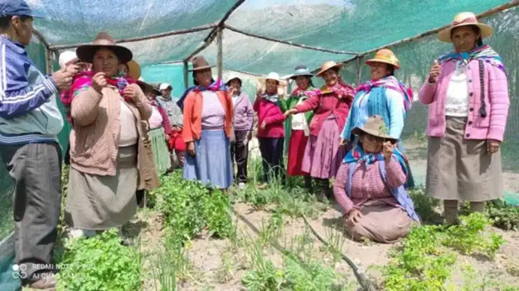 peru woman's farmer
